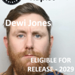 dewi jones runcorn rapist sex offender