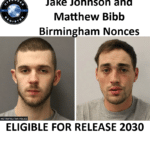 jake johnson and matthew bibb birmingham sex offenders