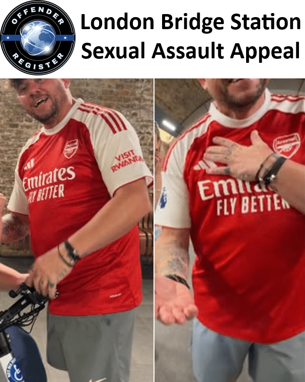 london bridge station sexual assault appeal london bridge station sexual assault appeal