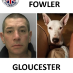 PAUL FOWLER FROM GLOUCESTER SENTENCED AT CHELTENHAM MAGISTRATES COURT