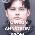 TOM JUN AHNSTROM FROM SOUTHAMPTON SENTENCED AT BOURNEMOUTH CROWN COURT