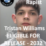 tristan williams swansea rapist sex offender