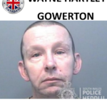WAYNE HARTLEY FROM GOWERTON SENTENCED AT SWANSEA CROWN COURT