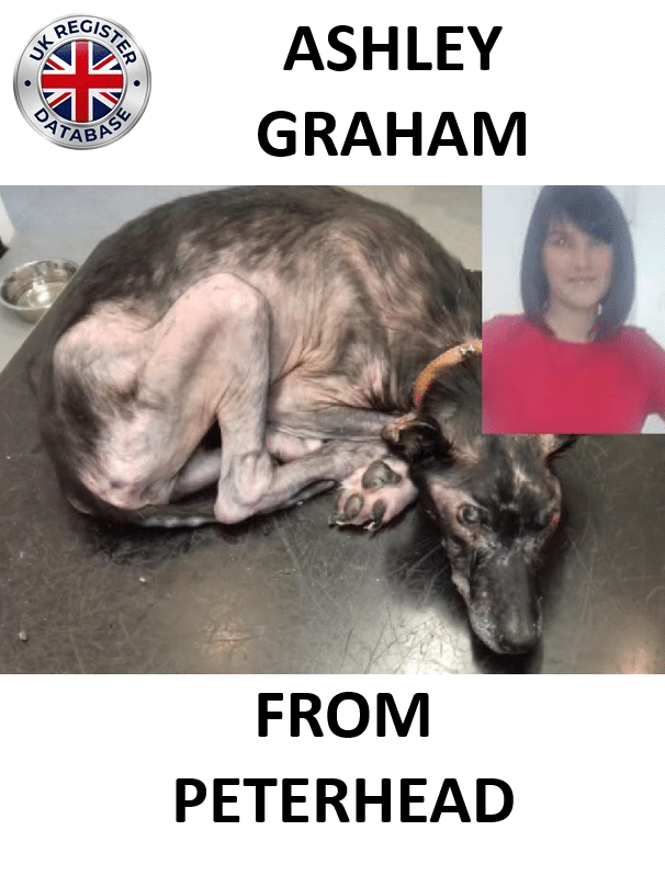 ASHLEY GRAHAM FROM PETERHEAD SENTENCED AT PETERHEAD SHERIFF COURT Ashley Graham Sentenced for Animal Cruelty and Neglect