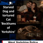 James Burge and Bethany Silverthorne Avoid Jail After Starving Dog to Death