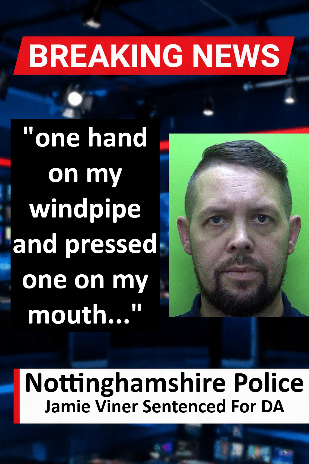 Jamie Viner Sentenced for 20 Months for Domestic Assault and Perverting Justice