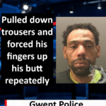 Lawrence Seivwright Admits Outraging Public Decency in Newport