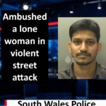Mohangopi Tadiboyina (Swansea) Jailed Eight Years for Attempted Rape