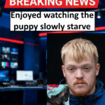Paul Prentice Banned After Puppy Starved to Death