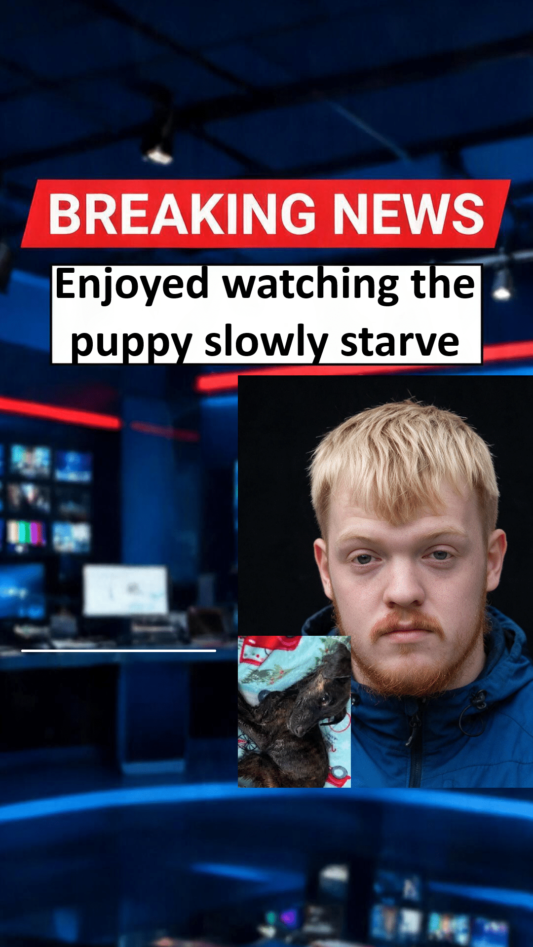 Paul Prentice Banned After Starving French Bulldog Puppy To Death Paul Prentice Banned After Puppy Starved to Death