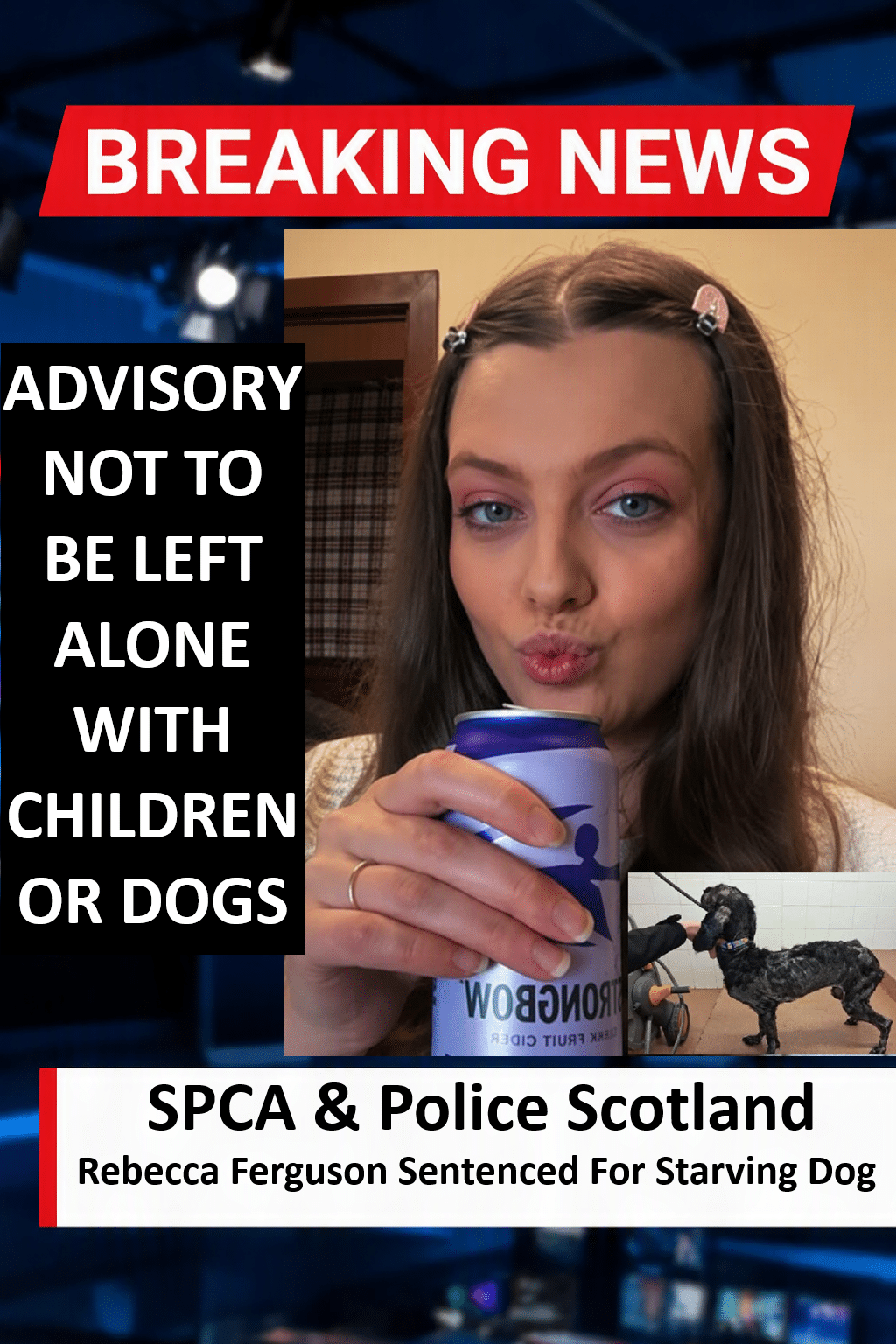 Rebecca Ferguson Sentenced For Starving Dog To A Skeleton Rebecca Ferguson (Forres) Banned From Owning Animals After Extreme Neglect