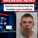Bartosz Poklek Bexley Animal Torture Network Obscene Publications