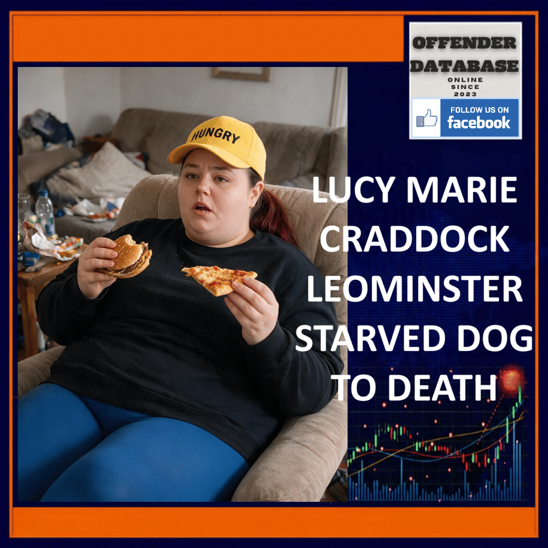 LUCY MARIE CRADDOCK LEOMINSTER STARVED DOG TO DEATH Lucy Marie Craddock Leominster Herefordshire American Bulldog Starvation Animal Cruelty