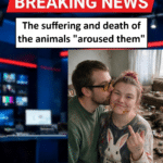 Nathan Race And Jade Race Chilton Animal Neglect Nine Pets Starved