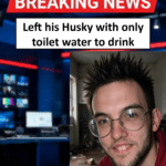 Sean Stewart Peterhead Husky Neglect Five-Year Animal Ban Supervision Order
